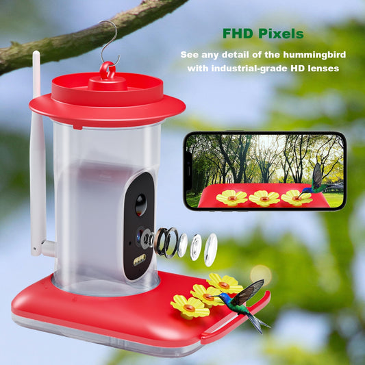 Intelligent Visual Hummingbird Water Feeder 5MP Pixel Outdoor HD